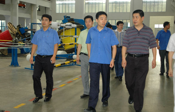 淮南市王市長(cháng)一行來(lái)江蘇上上電纜集團參觀(guān)考察