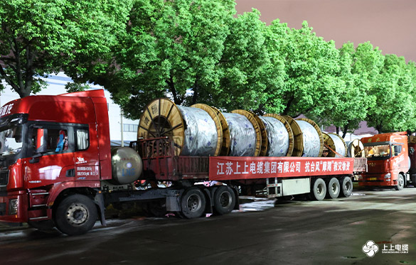 風(fēng)雨同舟，星夜馳援 ——上上電纜電力物資緊急運往海南